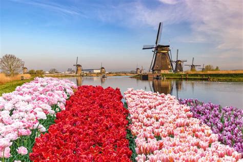 Wonders Of Netherlands  The Most Amazing Places In The Netherlands  Travel Videos 4k