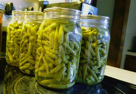 How to Can Green Beans  Useful Knowledge