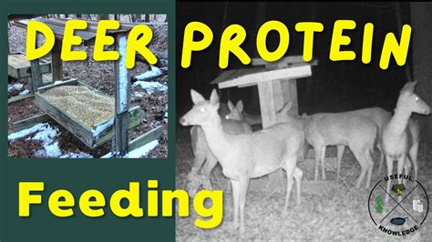 Deer Protein Feed  Useful Knowledge